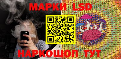 трава Гатчина