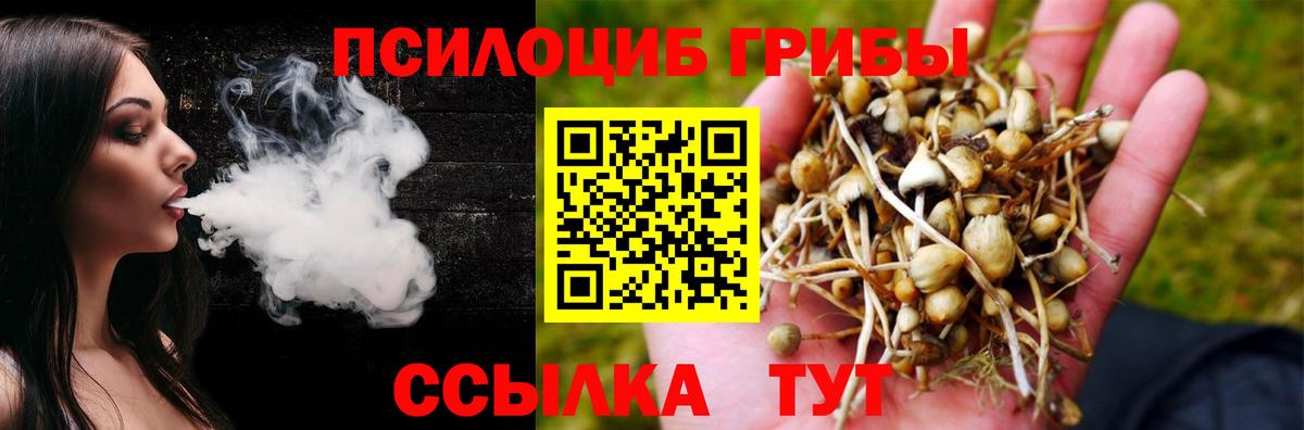 Новоалександровск  Галлюциногенные грибы GOLDEN TEACHER  Вход с VPN  Галлюциногенные грибы Psilocybe 